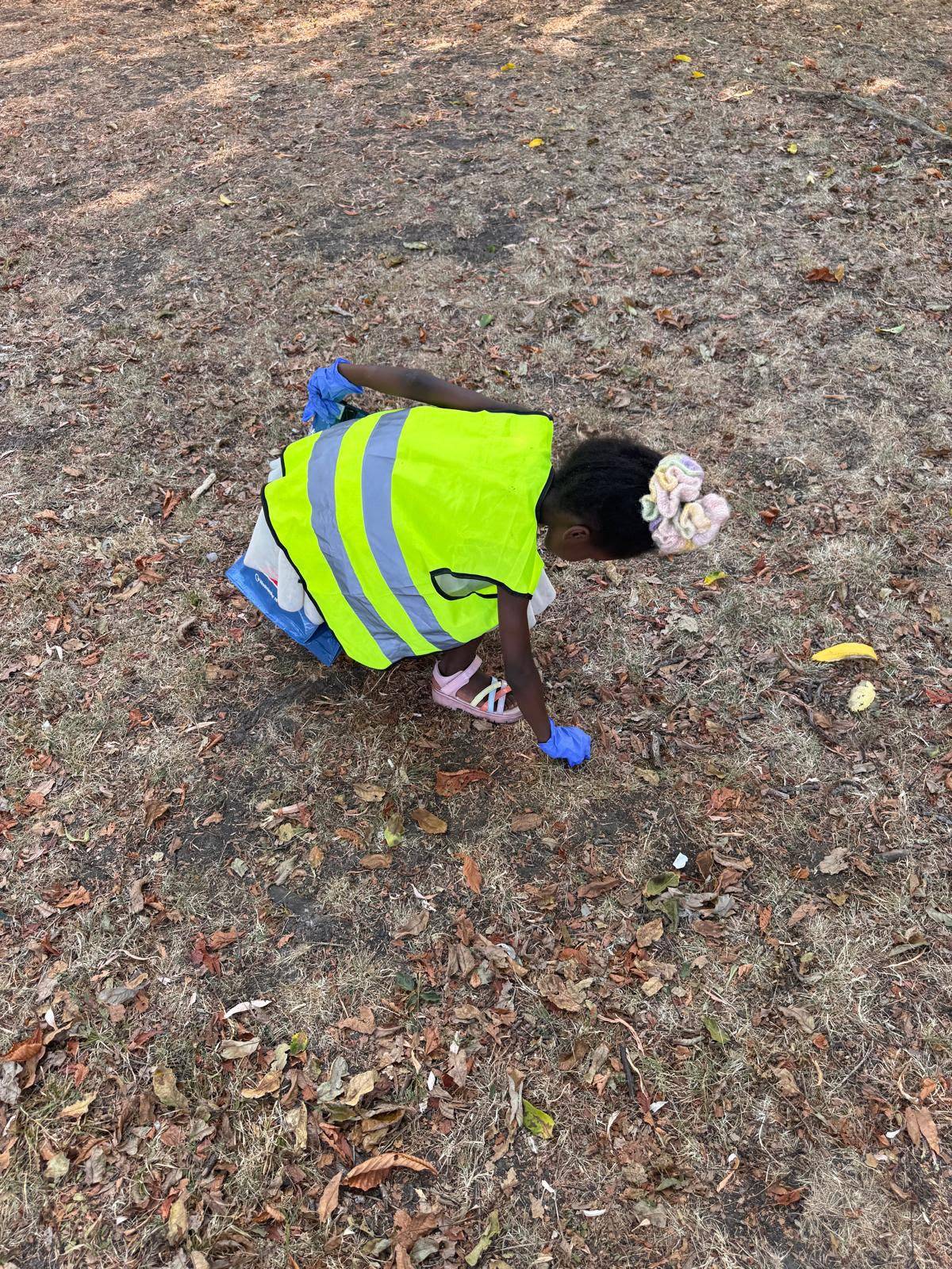 Recording wildlife sightings during survey